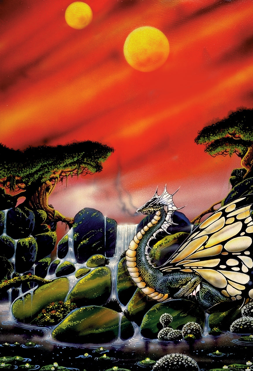 TNT: DRAGONFLY SIGNED PRINT