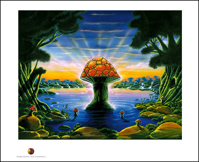 ALLMAN BROTHERS BAND: WHERE IT ALL BEGINS